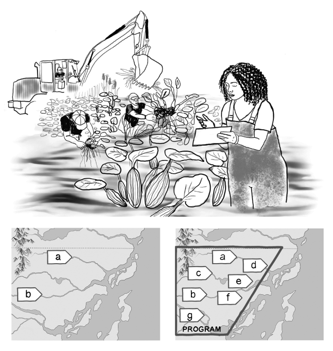 Illustration of a conservation project in its context (a river delta), and as part of a program with many replicated programs across the entire delta.