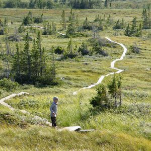 Outdoor recreation planning and management in protected areas