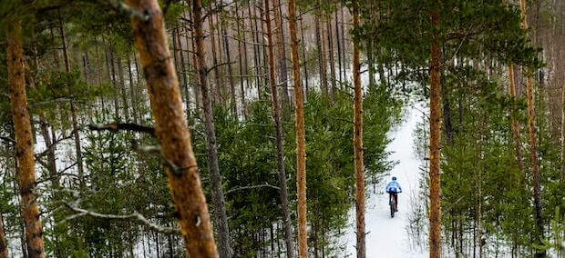 A cyclist engaged in outdoor recreation in a snowy protected area.