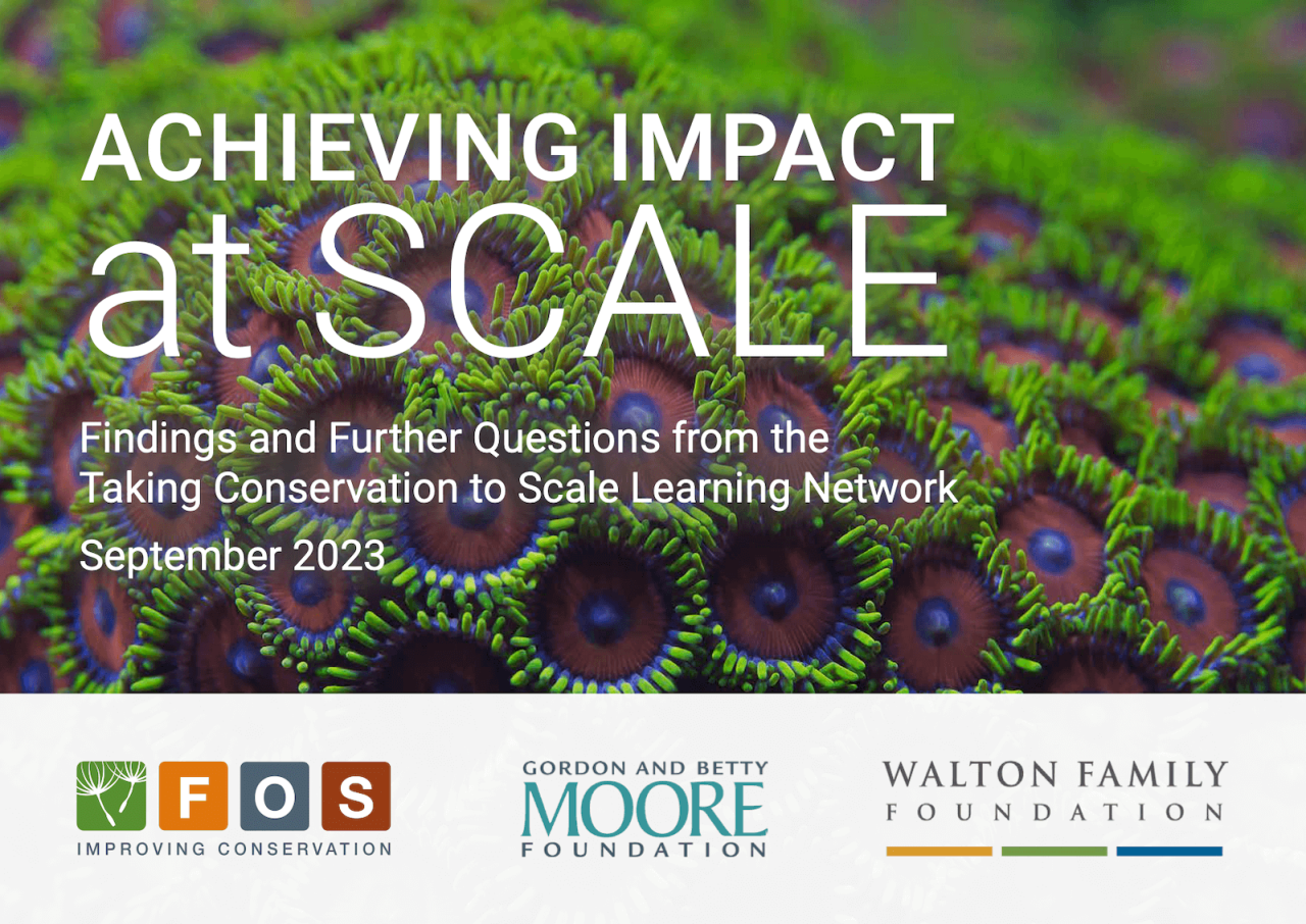 Framework for achieving impact at scale | Foundations of Success