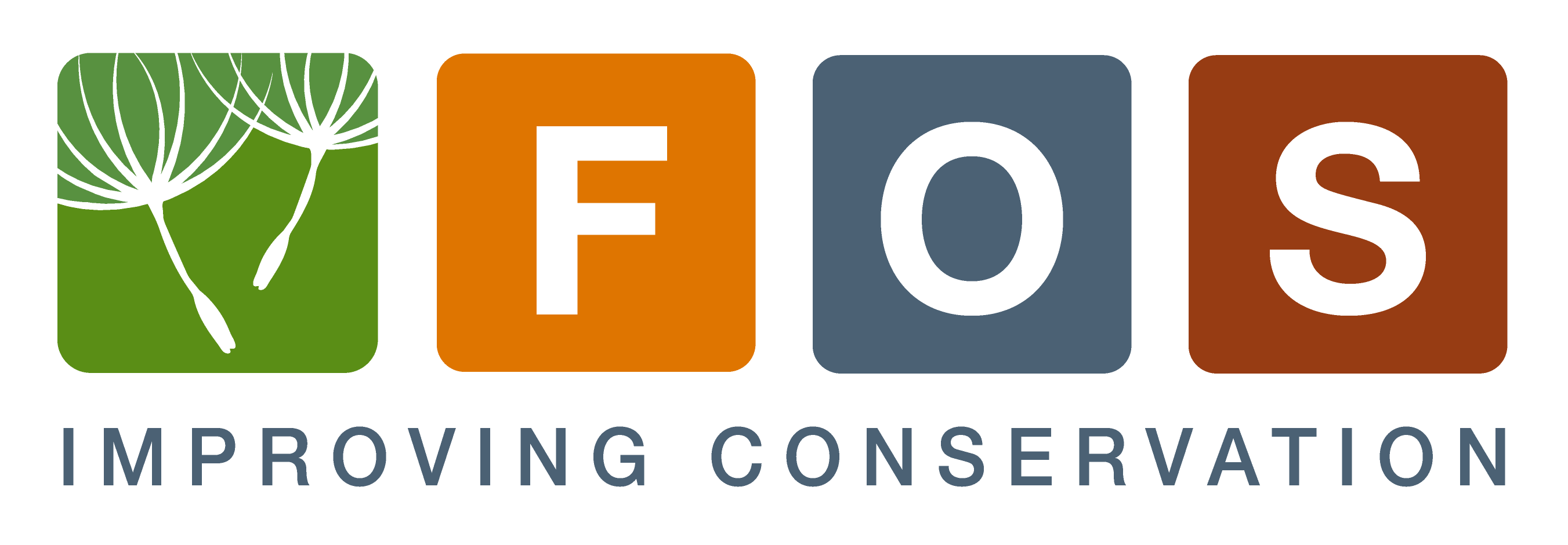 Foundations of Success Inc logo